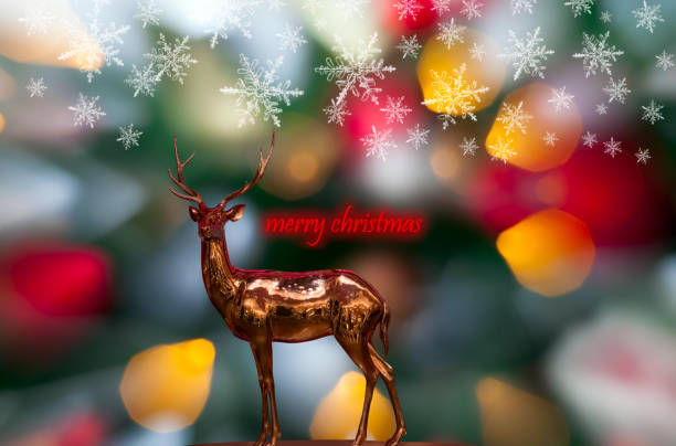 En este momento estás viendo 🎄HORARIOS DE APERTURA 2025 🎄Navidad🎄 Nochevieja 🪅 Año Nuevo 🎉