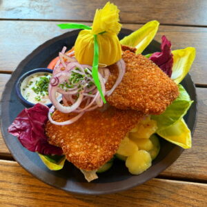 Gebackene Karfiol Laibchen auf buntem Salat